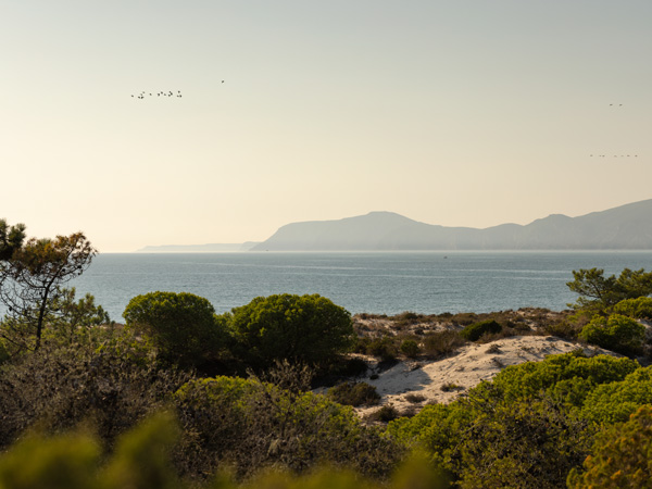 The site of Na Praia, Portugal's new independent 113-key retreat.
