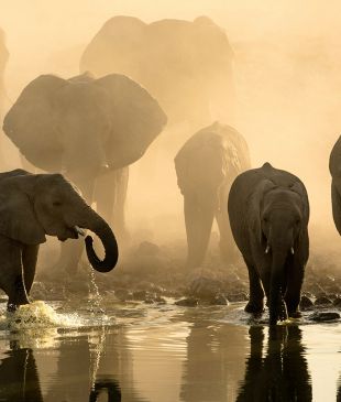 <p><i>8 experiences</i> travel experts believe everyone should have in their lifetime</p>