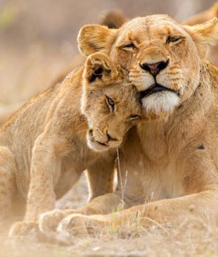 2025 Readers’ Choice Awards: Best destination for wildlife and nature