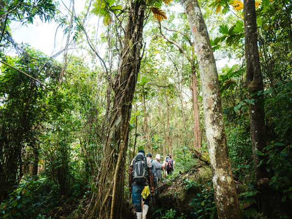 Trekking inthe Fijian highlands