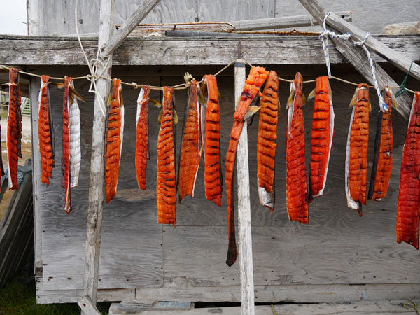Fish is hung