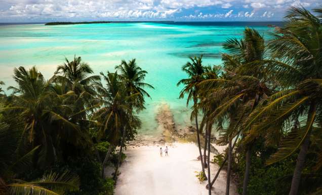 a couple walking hand in hand on the pristine white sand beach surrounded by palm trees in the Maldives