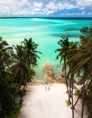 a couple walking hand in hand on the pristine white sand beach surrounded by palm trees in the Maldives