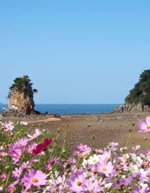 Kkotji Beach, South Korea
