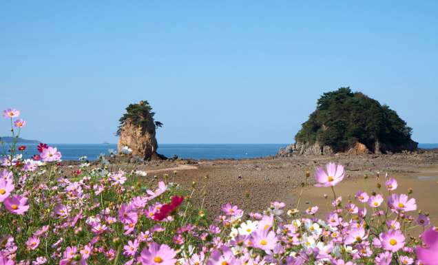 Kkotji Beach, South Korea