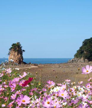 This new 849-km hike is South Korea’s answer to the Camino de Santiago
