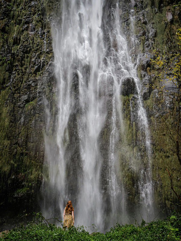 madeira waterfall