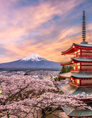 Chureito Pagoda at sunset with cherry blossoms