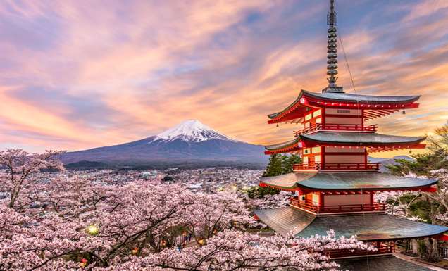 Chureito Pagoda at sunset with cherry blossoms