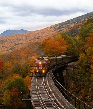 You can now book trains and planes in one go – here’s how