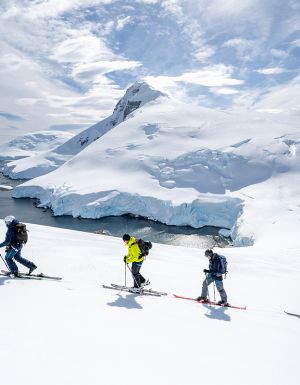tour group skiing in antarctica with aurora