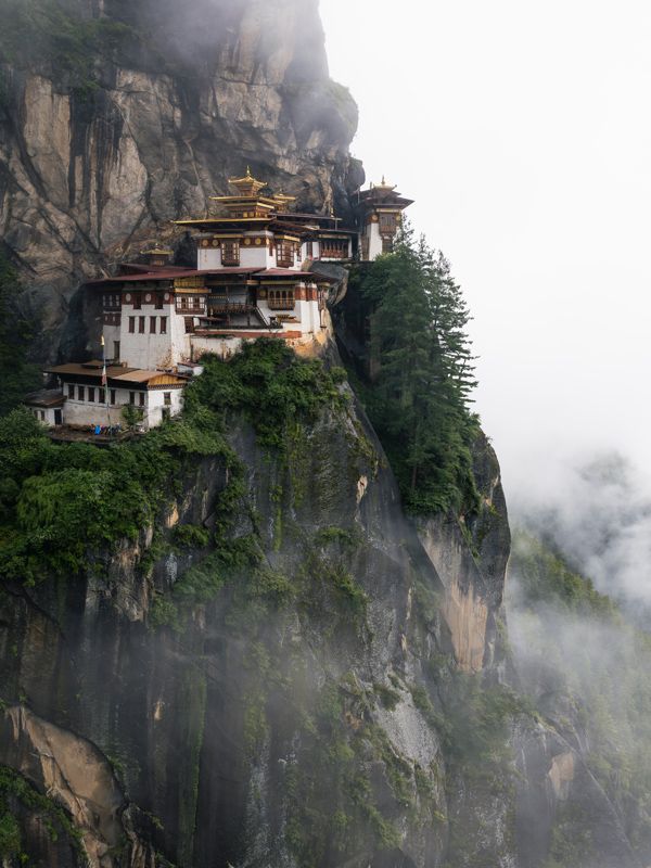 tiger's next bhutan