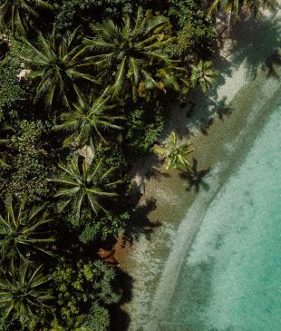 This once-abandoned Cambodian atoll is now a holistic island paradise