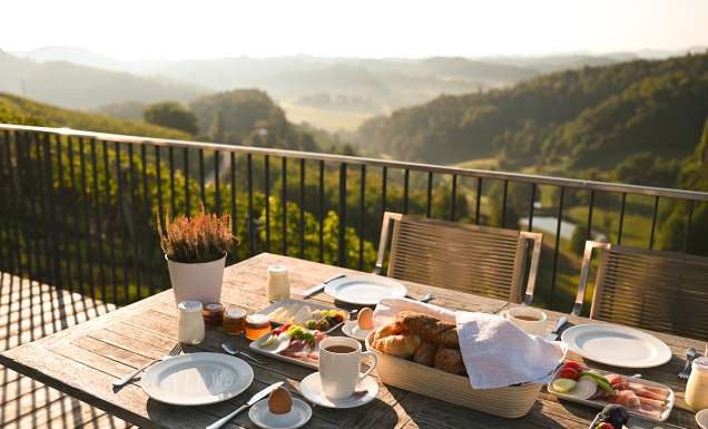 A traditional Austrian meal, beautifully presented on a table with breathtaking views beyond.