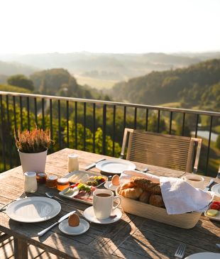 <p><i>This hike</i> in <strong>Austria</strong> takes you through some of the region’s best wineries</p>