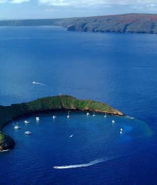 <p><i>Your guide</i> to the local’s favourite places on <strong>Maui</strong></p>