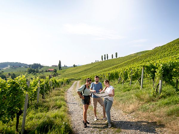 Three hikers consult a map as they explore the South Styrian Wine Road.