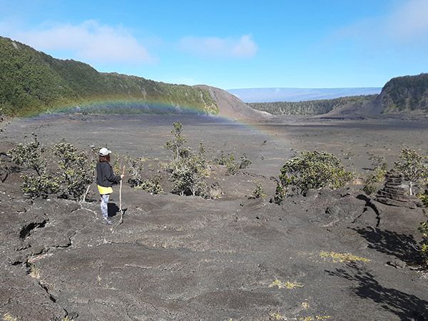 Volcanoes National Park on the island of hawai'i