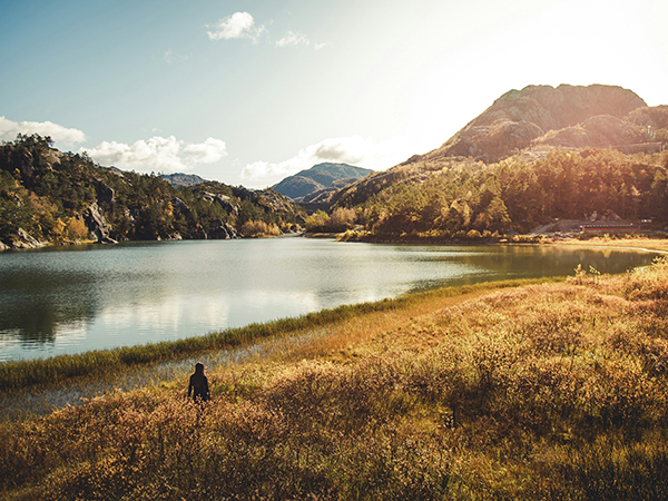 A lone figure takes in the breathtaking panorama of Norway’s Western Fjords.