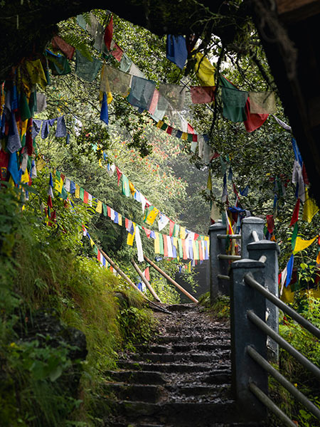 hike up to Tiger’s Nest