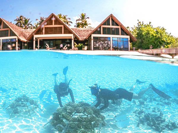 coral restoration at Maldives