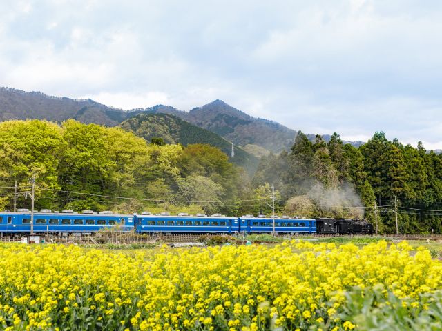 a train on the Tobu Railway Kinugawa Line in Tochigi Prefecture
