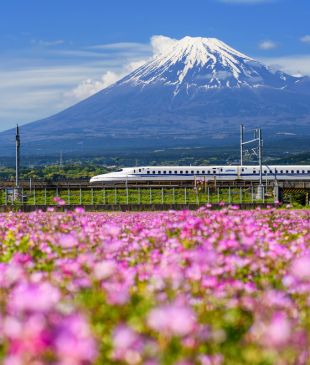 Everything you need to know before visiting Japan