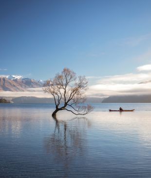 Everything you need to know before visiting New Zealand
