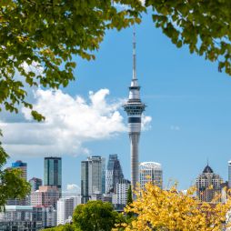 Sky Tower in Auckland