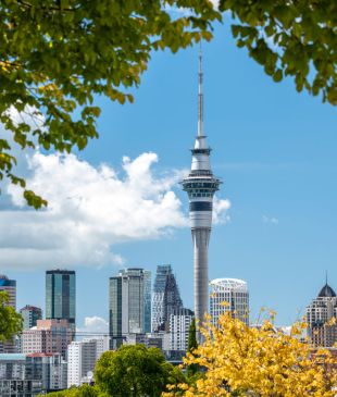 The best things to do in Auckland