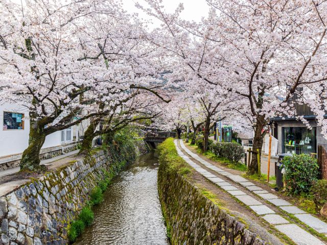 Philosopher’s Path in Kyoto
