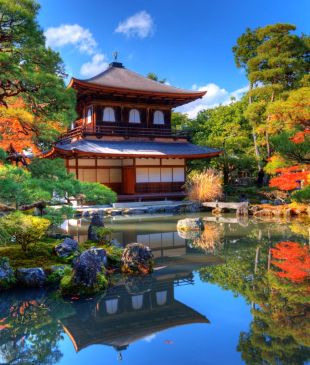 Things to do in Kyoto: traditional tea ceremonies, geisha spotting and zen gardens