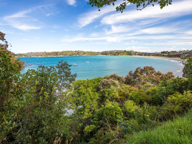 Waiheke Island coastline