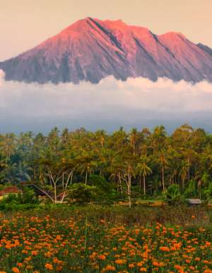 Mount Agung as seen from Gumitir Garden, Bali