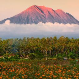 Mount Agung as seen from Gumitir Garden, Bali