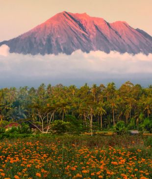 The best Bali hikes with unforgettable landscapes