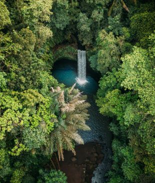 The best Bali waterfalls for nature lovers
