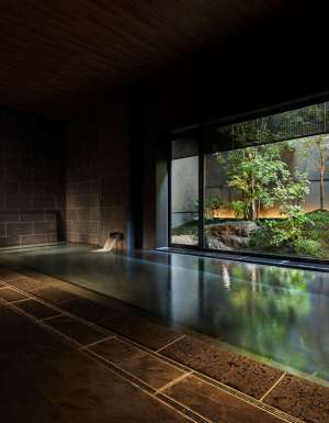 the onsen bath at Yuen Bettei Daita Tokyo