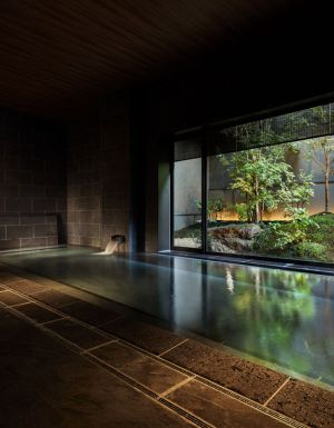 the onsen bath at Yuen Bettei Daita Tokyo