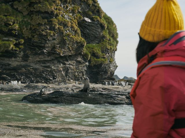 large colonies of penguins and seals onthe South Atlantic island