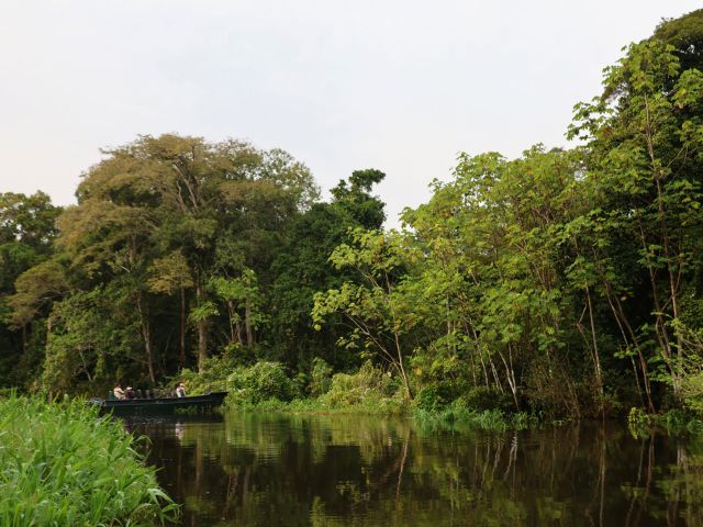 the Amazon River, Peru