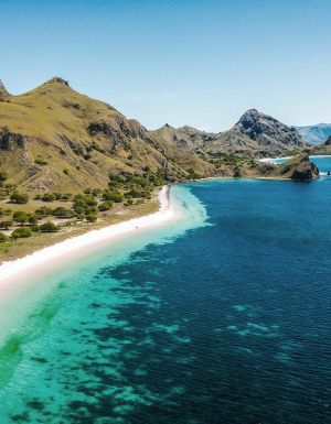 pink beach padar island labuan bajo