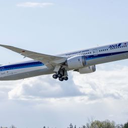ANA aircraft flying