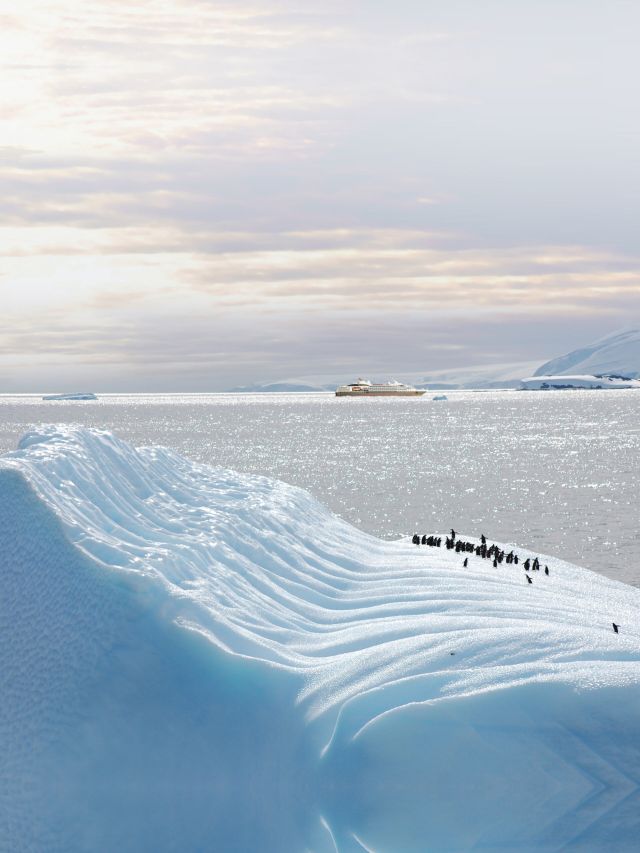 Arctic and Antarctica tour with Abercrombie & Kent’s Antarctica
