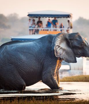 <p><i>6 river adventures</i> around the world that travel far beneath the surface</p>