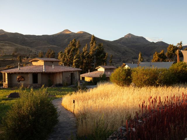 PUQIO by Andean