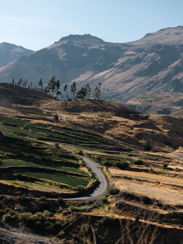 the Colca Valley, Peru