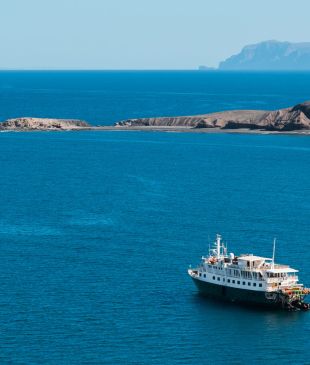 <p>Win an <i>8-night UnCruise voyage</i> off <strong>Mexico’s</strong> <strong>Baja California</strong> for 2, valued from $14,790</p>