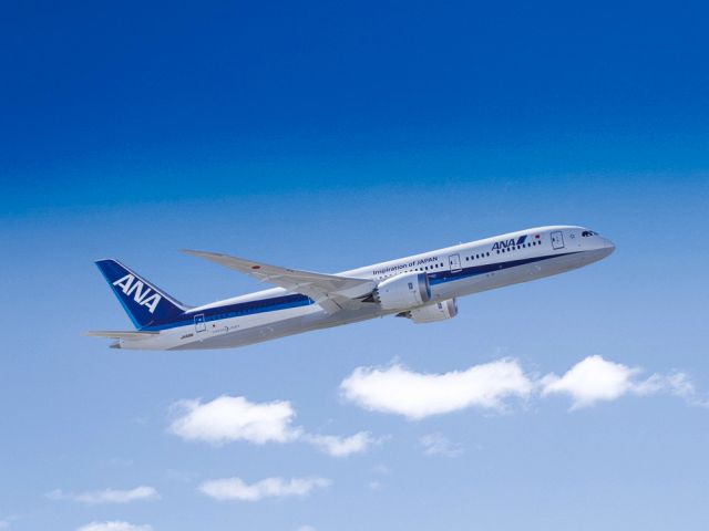 Nippon Aircraft in sky