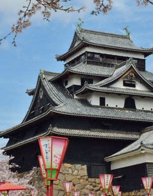 Matsue Castle with Cherry Blossoms (Matsue, Shimane Prefecture) chugoku region culture